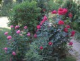 /album/galleria-fotografica1/giardino-betta-e-paola-001-jpg1/
